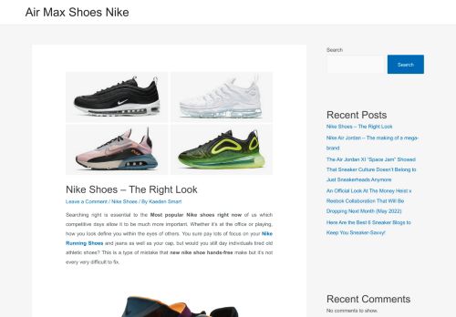 Air Max Shoes Nike -
