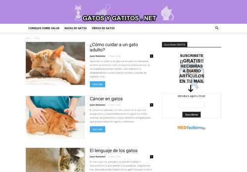 Cuidar Gatitos - Fotos - Razas Gatos | Gatos y gatitos. Aprende a cuidar gatos y mira fotos de razas de gatos y gatitos.