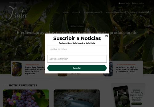 DirectorioFruta.cl – Directorio Industria de la Fruta en Chile. Empresas, Proveedores, Noticias y Actualidad.