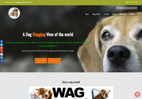 Wag The Dog UK
