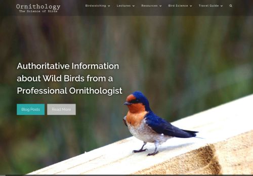 Ornithology – Authoritative Information about Wild Birds from a Professional Ornithologist
