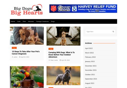 Big Dogs Big Hearts | Pet Blog
