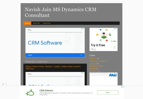 Navish Jain MS Dynamics CRM Consultant