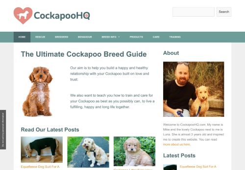 The Ultimate Cockapoo Breed Guide | Cockapooo HQ