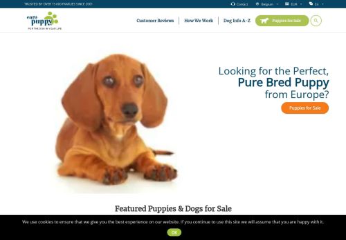 Puppies & Dogs for Sale from Europe - Puppy Finder | Euro Puppy