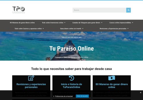 Dinero en internet y negocios online | Tu Paraíso Online