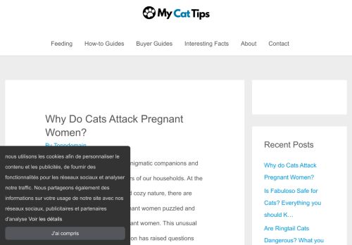 MyCatTips - Best Tips on Cat