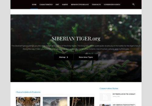 Home - Siberian Tiger