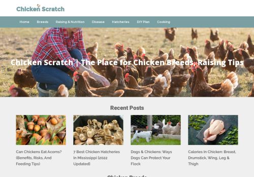 Chicken Scratch | The Place for Chicken Breeds, Raising Tips
