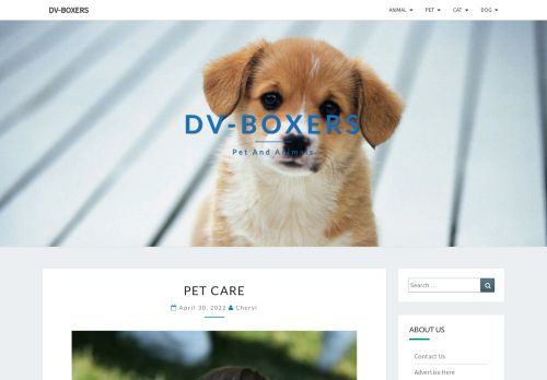 DV-Boxers – Pet and Animals
