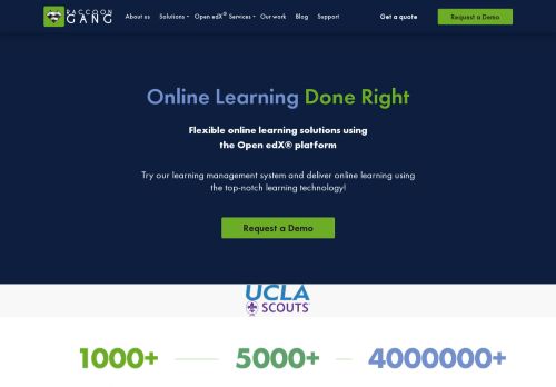 Online Learning Solutions by Raccoon Gang