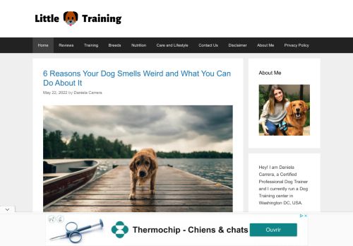 Little Paws Training | Every Little Paw Needs Some Care and Training