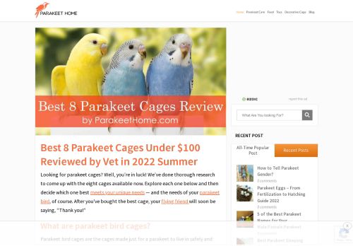 Best 8 Parakeet Cages Under $100 Reviewed by Vet in 2021 Summer
