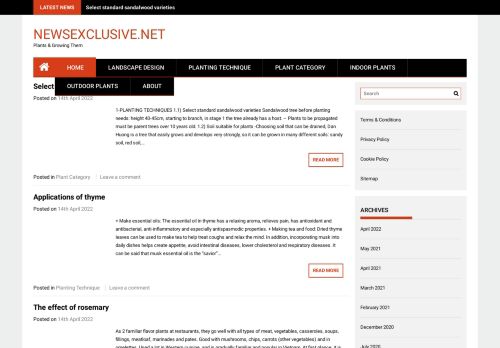 For Sale Domain: newsexclusive.net
