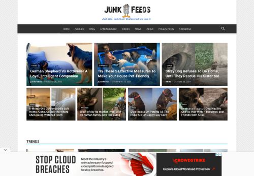 JunkFeeds- Your Stories On The Web