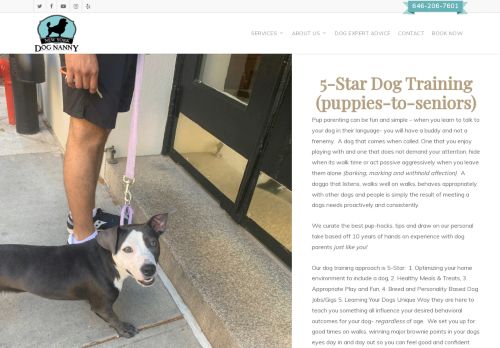 NY Dog Trainer | Holistic Pet Healer 
