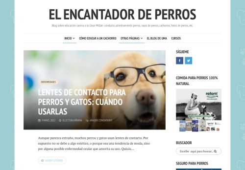 El Encantador de Perros - Blog sobre educación canina a lo César Millán: conducta, adiestramiento perros, razas de perros, cachorros, fotos de perros, etc.