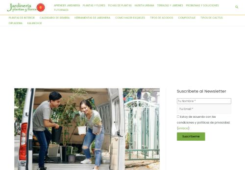 Blog De Jardinería, Plantas Y Flores - Huerta Diseño Reciclados