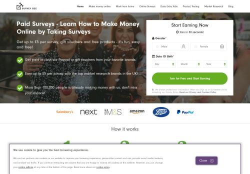 Paid surveys | SurveyBee.net