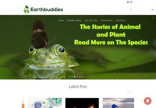 Earthbuddies - Animal, Earth & Green Living News, ECO Store
