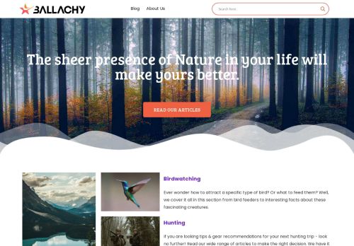 Ballachy | Guides & Product Reviews - Ballachy
