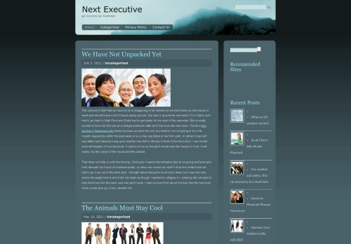 Next Executive | go success go business