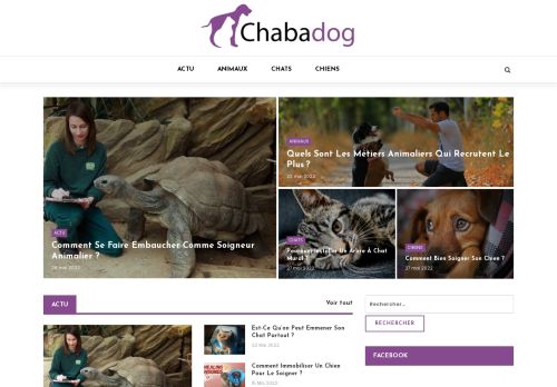 Chabadog - For cats & Dogs