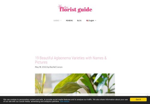 The Florist Guide - All about flowers and floristry
