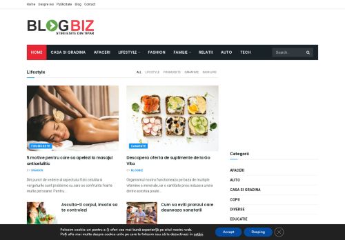 Blogbiz - Revista online