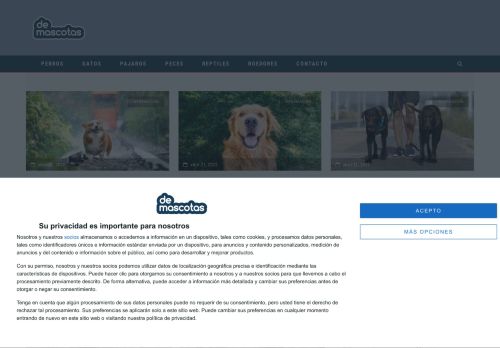 Blog de Mascotas - Entre en nuestra página web | Demascotas.info