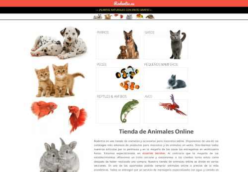Rodentia Tienda de Animales Online con ENVÍO GRATIS