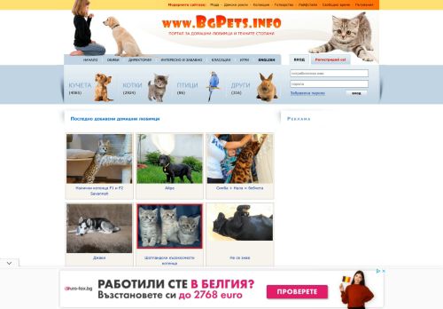 ??????? ??????? - ??????, ?????, ?????, ??????? :: Pets - dogs, cats, birds, reptiles