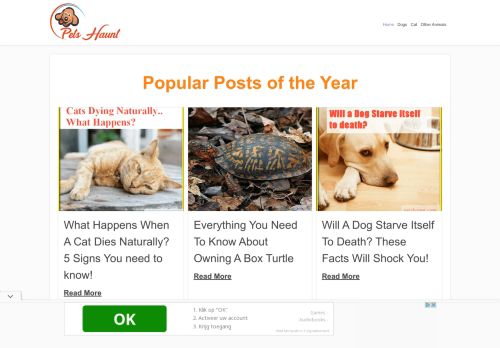 Petshaunt.Com ~ Hub Of Pets Review
