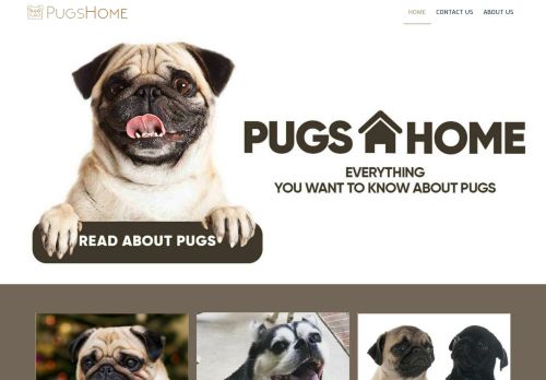 Welcome To The Paradise Of Pugs Home