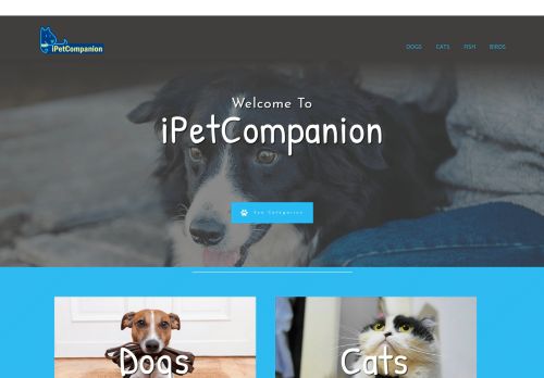 iPetCompanion | Find The Best Pet Products Here!