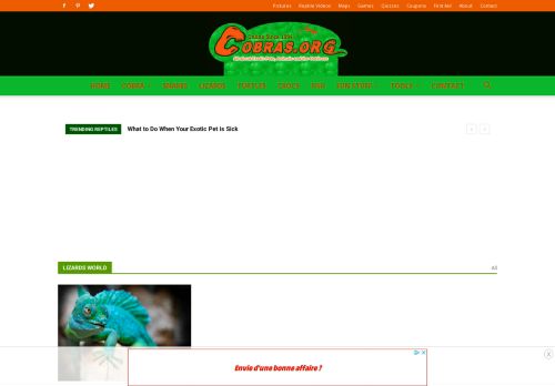 Cobras.org - Information on Cobras and Reptiles Since 1994