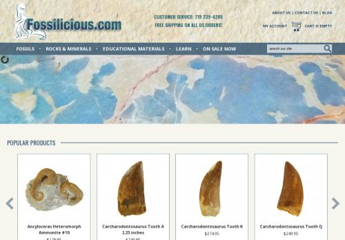 Fossilicious | Shop Quality Minerals & Fossils for Sale Online
