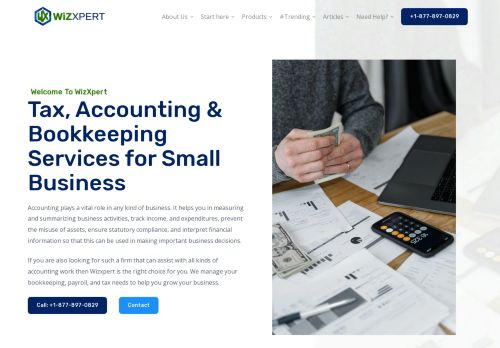 Wizxpert: Small Business CPAs - Onsite or Remote Accounting
