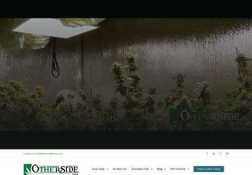 Medical Marijuana Orange County | Growing Marijuana – Where the Grass is Always Greener