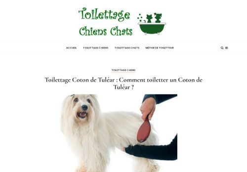 Toilettage Chiens Chats - Le blog bien-être des chiens et chats