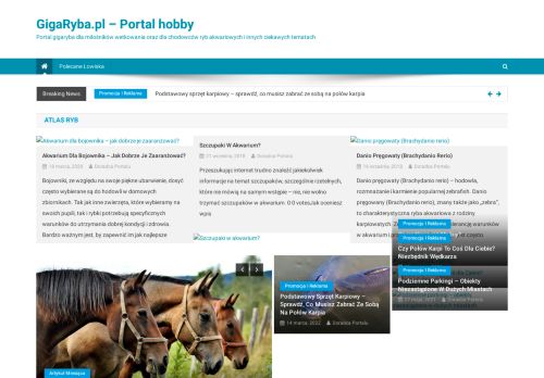 Giga Ryba » GigaRyba.pl - Portal hobby