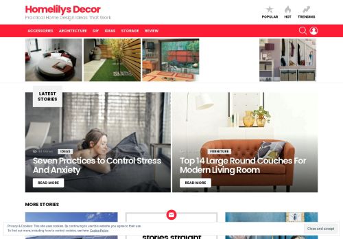 Homelilys Decor - Practical Home Design Ideas That Work